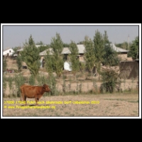 17000 17042 Fahrt nach Shahrisabs Dorf Usbekistan 2010.JPG